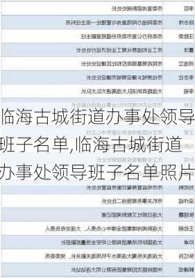 临海古城街道办事处领导班子名单,临海古城街道办事处领导班子名单照片