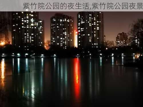 紫竹院公园的夜生活,紫竹院公园夜景