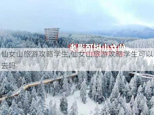 仙女山旅游攻略学生,仙女山旅游攻略学生可以去吗