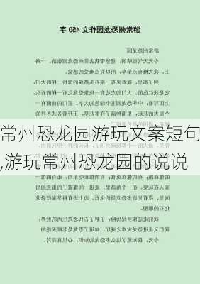 常州恐龙园游玩文案短句,游玩常州恐龙园的说说