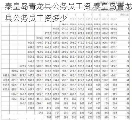 秦皇岛青龙县公务员工资,秦皇岛青龙县公务员工资多少