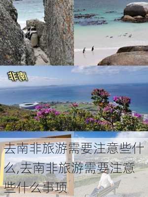 去南非旅游需要注意些什么,去南非旅游需要注意些什么事项