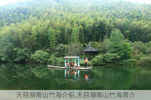 天目湖南山竹海介绍,天目湖南山竹海简介