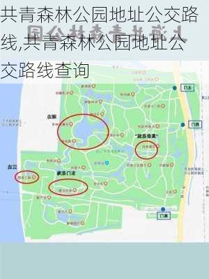 共青森林公园地址公交路线,共青森林公园地址公交路线查询