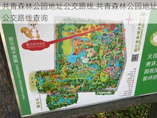 共青森林公园地址公交路线,共青森林公园地址公交路线查询