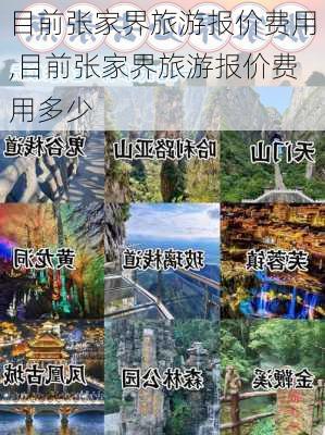 目前张家界旅游报价费用,目前张家界旅游报价费用多少