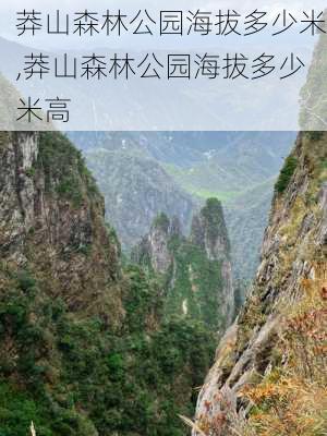 莽山森林公园海拔多少米,莽山森林公园海拔多少米高