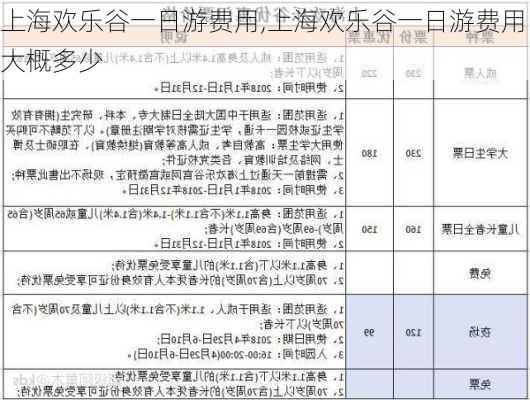 上海欢乐谷一日游费用,上海欢乐谷一日游费用大概多少