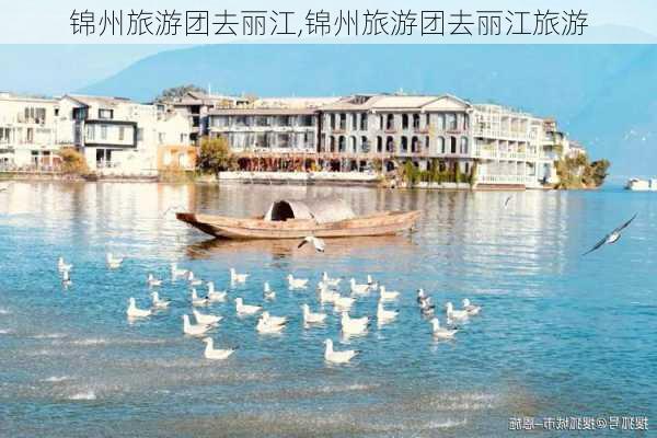 锦州旅游团去丽江,锦州旅游团去丽江旅游