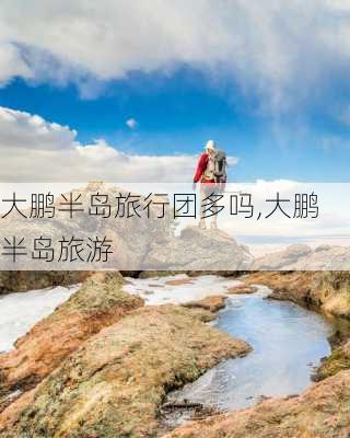 大鹏半岛旅行团多吗,大鹏半岛旅游