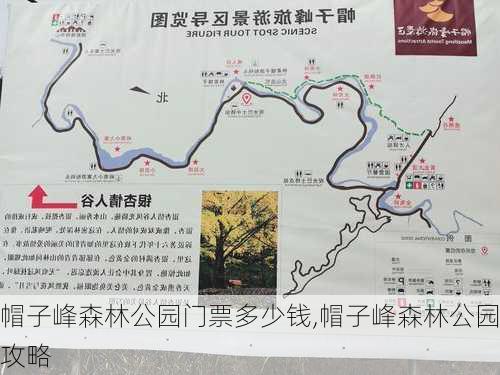 帽子峰森林公园门票多少钱,帽子峰森林公园攻略