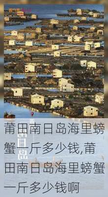 莆田南日岛海里螃蟹一斤多少钱,莆田南日岛海里螃蟹一斤多少钱啊