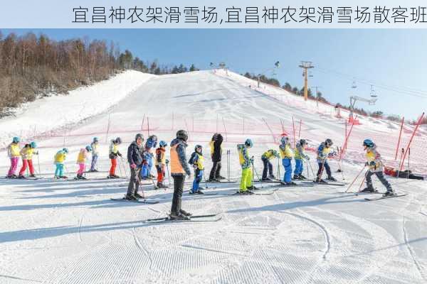 宜昌神农架滑雪场,宜昌神农架滑雪场散客班