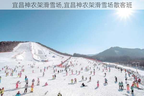 宜昌神农架滑雪场,宜昌神农架滑雪场散客班