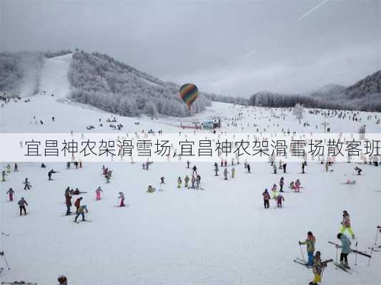 宜昌神农架滑雪场,宜昌神农架滑雪场散客班