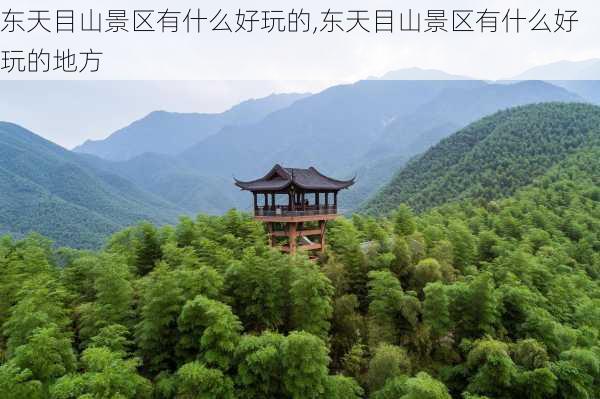 东天目山景区有什么好玩的,东天目山景区有什么好玩的地方