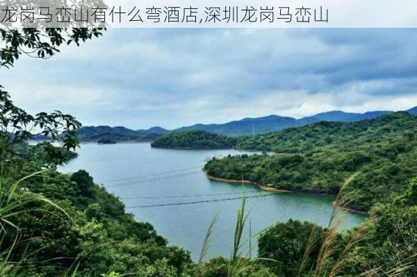 龙岗马峦山有什么弯酒店,深圳龙岗马峦山