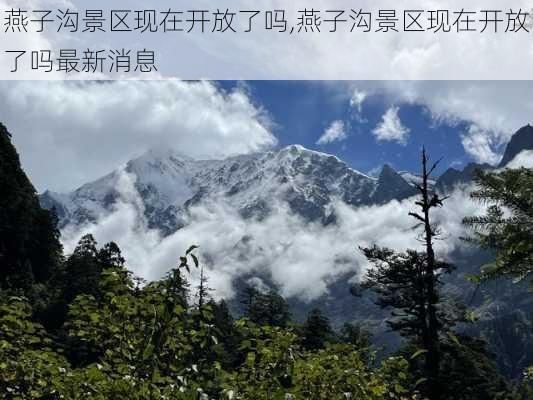 燕子沟景区现在开放了吗,燕子沟景区现在开放了吗最新消息