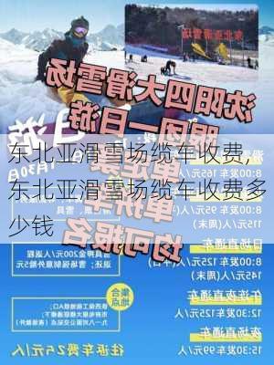 东北亚滑雪场缆车收费,东北亚滑雪场缆车收费多少钱