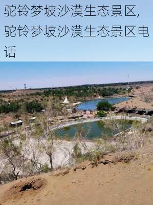 驼铃梦坡沙漠生态景区,驼铃梦坡沙漠生态景区电话