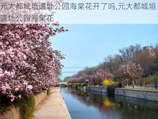 元大都城墙遗址公园海棠花开了吗,元大都城垣遗址公园海棠花