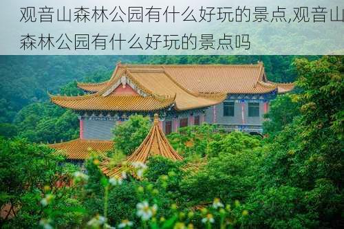 观音山森林公园有什么好玩的景点,观音山森林公园有什么好玩的景点吗