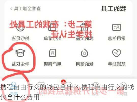 携程自由行交的钱包含什么,携程自由行交的钱包含什么费用