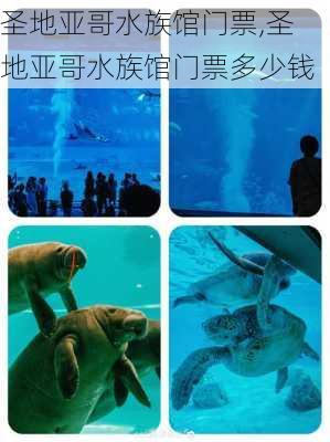 圣地亚哥水族馆门票,圣地亚哥水族馆门票多少钱