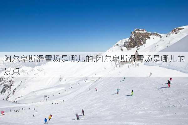 阿尔卑斯滑雪场是哪儿的,阿尔卑斯滑雪场是哪儿的景点