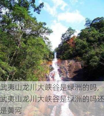 武夷山龙川大峡谷是绿洲的吗,武夷山龙川大峡谷是绿洲的吗还是黄河