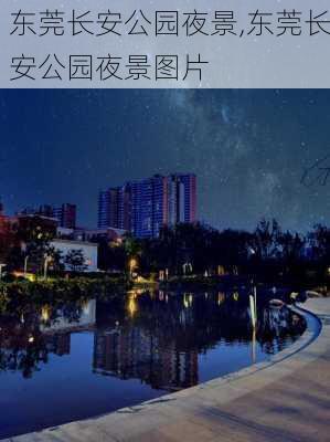 东莞长安公园夜景,东莞长安公园夜景图片