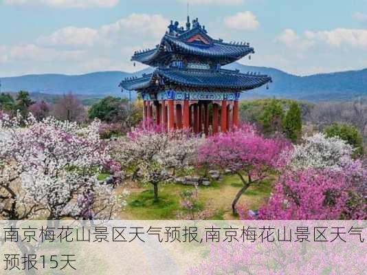 南京梅花山景区天气预报,南京梅花山景区天气预报15天