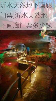 沂水天然地下画廊门票,沂水天然地下画廊门票多少钱