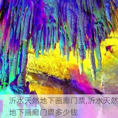 沂水天然地下画廊门票,沂水天然地下画廊门票多少钱