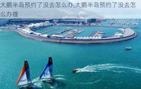 大鹏半岛预约了没去怎么办,大鹏半岛预约了没去怎么办理