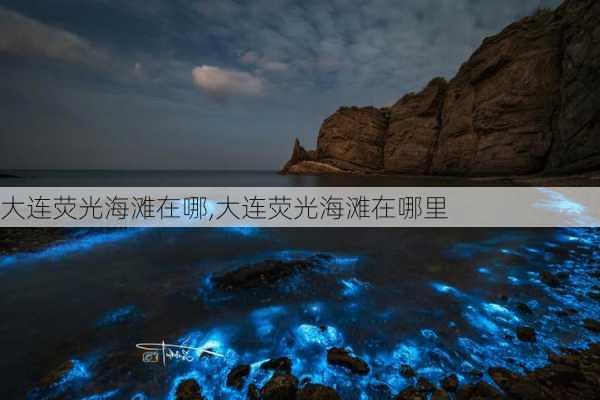 大连荧光海滩在哪,大连荧光海滩在哪里