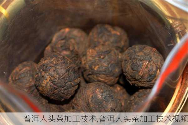 普洱人头茶加工技术,普洱人头茶加工技术视频