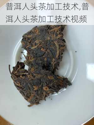 普洱人头茶加工技术,普洱人头茶加工技术视频