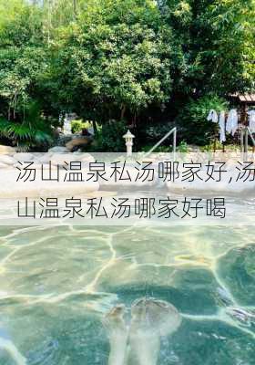 汤山温泉私汤哪家好,汤山温泉私汤哪家好喝