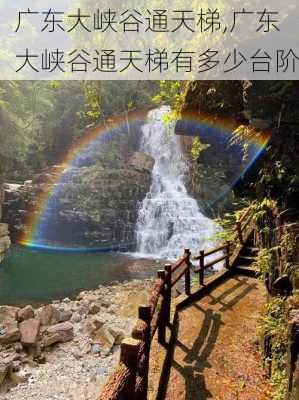 广东大峡谷通天梯,广东大峡谷通天梯有多少台阶