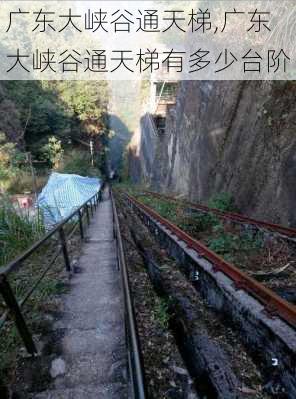 广东大峡谷通天梯,广东大峡谷通天梯有多少台阶