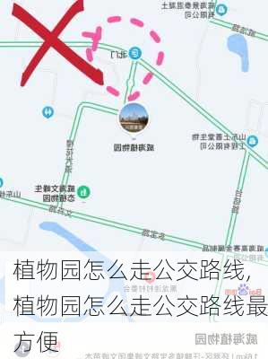 植物园怎么走公交路线,植物园怎么走公交路线最方便