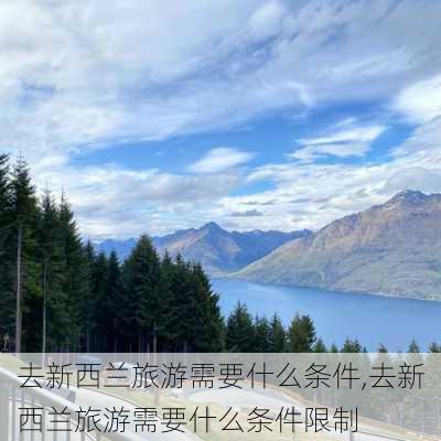 去新西兰旅游需要什么条件,去新西兰旅游需要什么条件限制