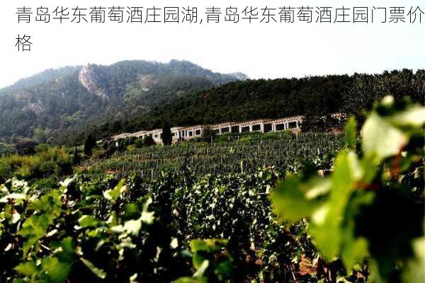 青岛华东葡萄酒庄园湖,青岛华东葡萄酒庄园门票价格