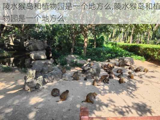 陵水猴岛和植物园是一个地方么,陵水猴岛和植物园是一个地方么