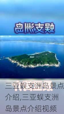 三亚蜈支洲岛景点介绍,三亚蜈支洲岛景点介绍视频