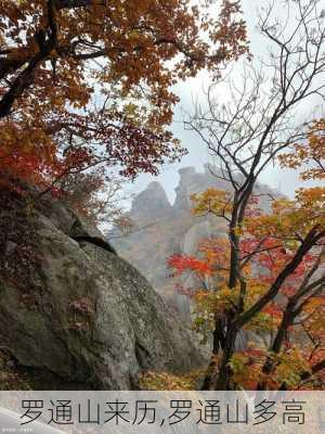 罗通山来历,罗通山多高