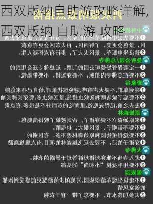 西双版纳自助游攻略详解,西双版纳 自助游 攻略