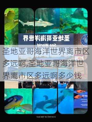 圣地亚哥海洋世界离市区多远啊,圣地亚哥海洋世界离市区多远啊多少钱