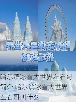 哈尔滨冰雪大世界左右哥简介,哈尔滨冰雪大世界左右哥叫什么